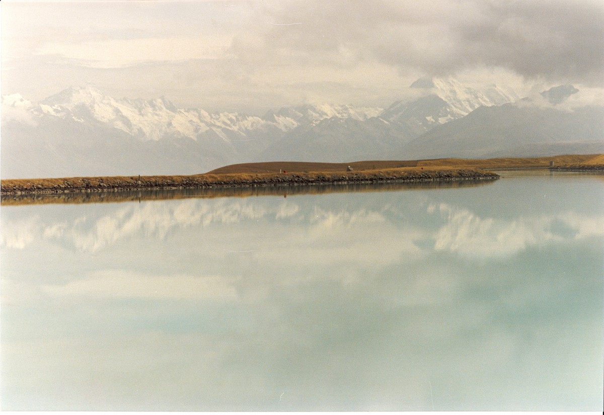 nz 11.jpg